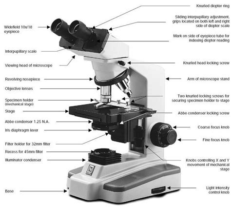 Compound Microscope Resolving Power Numerical Aperture
