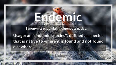 Endemic Definition And Examples Biology Online Dictionary