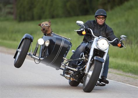 Are Sidecars Back In Style Find Out Why They Never Left Biker Way Of
