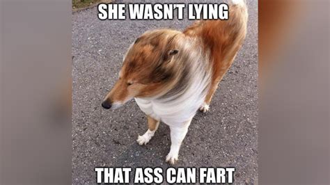 She Wasn T Lying That Ass Can Fart Know Your Meme