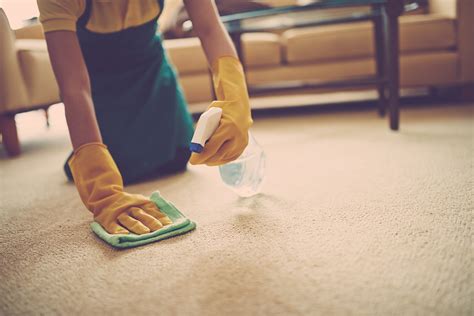 Cleaning Tip How To Remove Tough Carpet Stains Bio Home By Lam Soon