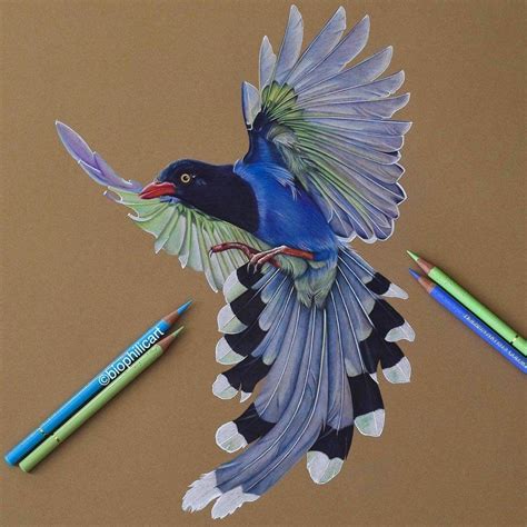Realistic Animal Pencil Drawings Pencil Drawings Of Animals Color