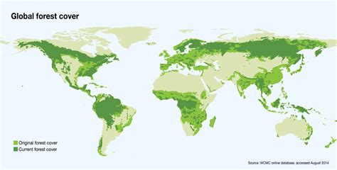 Global Forest Cover The Earths Most Varied And Most Myste Flickr