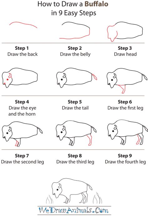 How To Draw A Buffalo