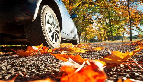 Blog Autumn Driving Tips Xlcr Vehicle Management Ltd