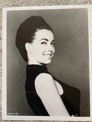 Susan Hart Aip 1960s Sexy Starlet Original Press Still Ebay
