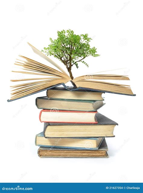 Tree Growing From Book Stock Images Image 21627354