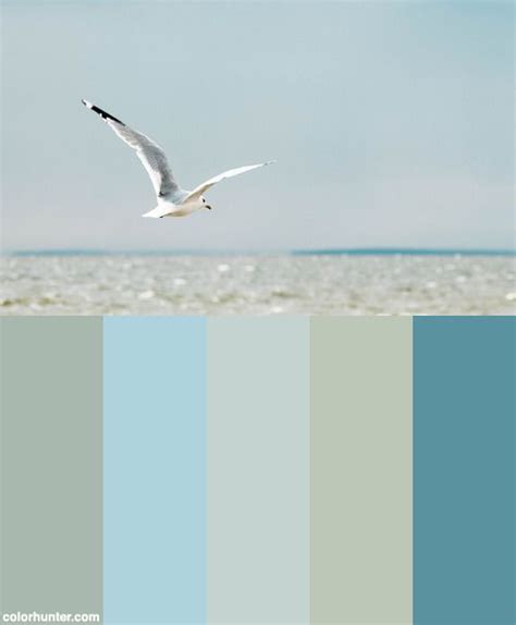 Sea Breeze Color Palette Color Palette Palette Sea Breeze