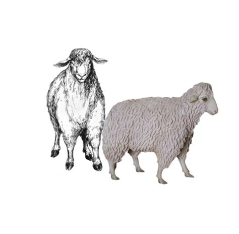 Nativity Animals Sheep Barrango Mfg