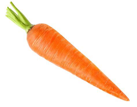 Subreddit So Dead This Pic Of A Carrot Will Hit Front Page Rloltyler1