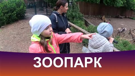 Зоопарк YouTube
