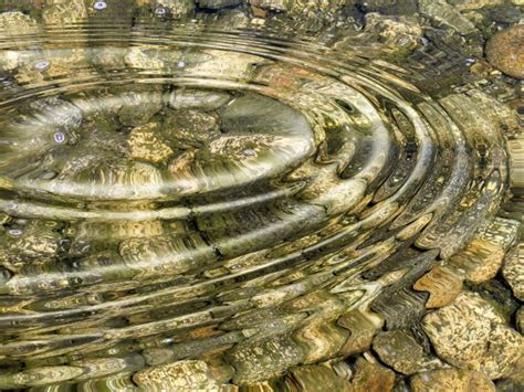 Ripple (originally opencoin) was founded in 2012 by chris larsen and jed mccaleb. Water Ripple Free Stock Photo - Public Domain Pictures