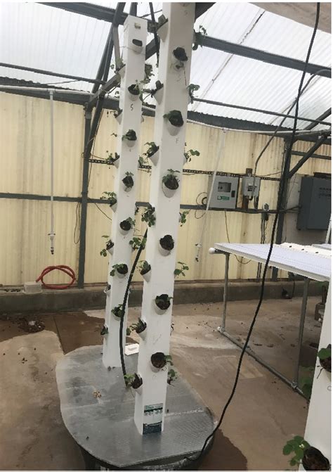 I loved this particular one because although drilling the holes is a bit tedious, it only requires 2 pvc pipes to set it up. How To Build A Hydroponic Garden Tower - Garden Design