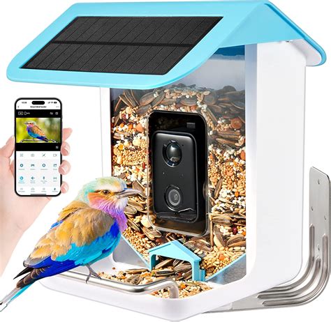 Amazon Com Smart Bird Feeder With Camera AI Identify Solar Bird Feeder Camera Auto Capture