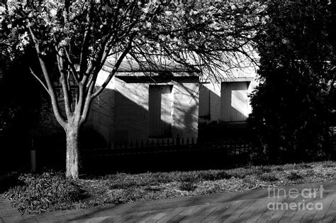 Parallel Shadows Black And White Photograph By Fred Les Fine Art America