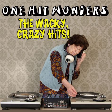‎one Hit Wonders The Wacky Crazy Hits Album By Variou Artists