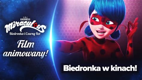 Film Biedronka I Czarny Kot - Kot Obraz: Miraculum Biedronka I Czarny Kot Film 2020