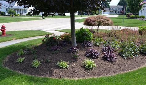 23 Landscaping Ideas With Photos Landscaping Around Trees Red Maple