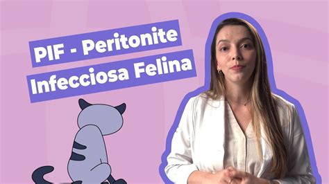 Pif Peritonite Infecciosa Felina Inova Hospital Veterin Rio Youtube