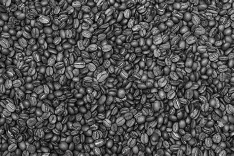 Freshly Roasted Coffee Beans Medium Roast Closeup Black And White