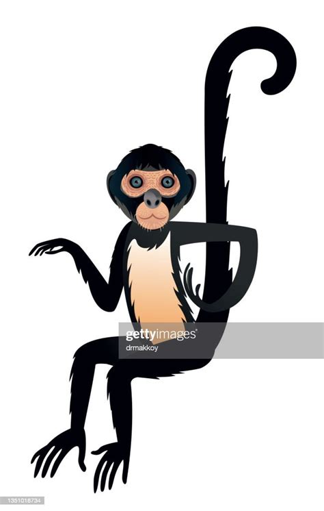 Blackheaded Spider Monkey High Res Vector Graphic Getty Images