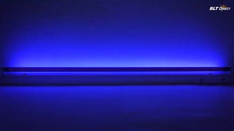We did not find results for: Black Light wallpaper | 1920x1080 | #73946