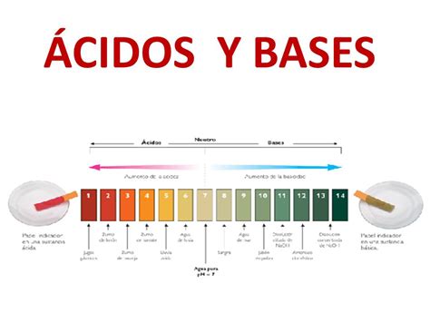 Diferencia Entre ácidos Y Bases Diferenciando