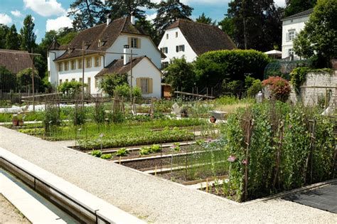 Ein botanischer garten am stadtrand von basel. Zurück zu den Wurzeln « Der Pflanzgarten von Schloss Hegi