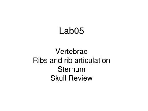 Ppt Lab05 Vertebrae Ribs And Rib Articulation Sternum Skull Review