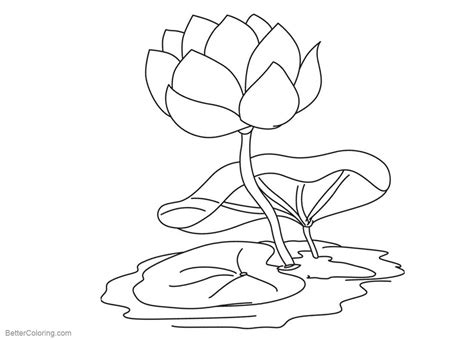 Water lily flowers stand above the water, and lasting only a few days. Pond Coloring Pages Water Lily Flower - Free Printable ...