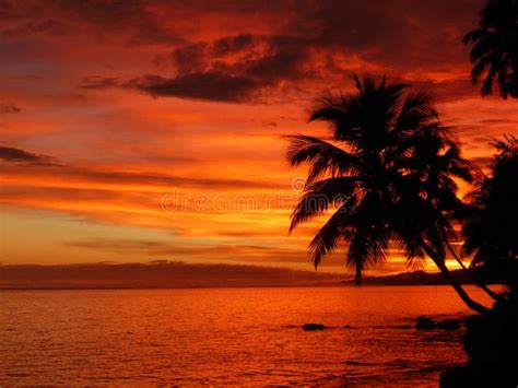 Tropical Sunset Over Idyllic Caribbean Bungalow Palm Trees And Waves