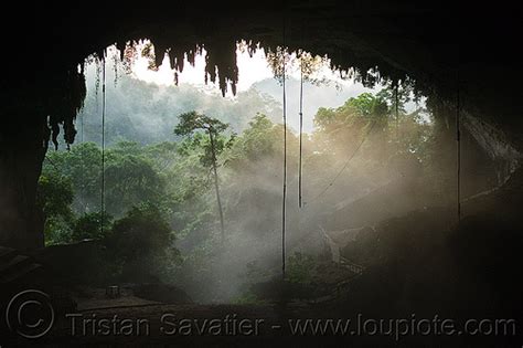 The Great Cave At Gua Niah Niah Caves Natural Cave In Rain Forest Borneo