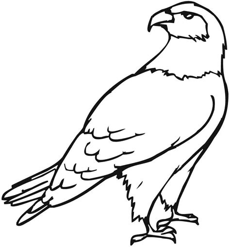 Cute Cartoon Eagles Coloring Pages