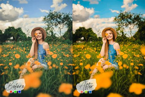 Sunflower Mood Photoshop Actions Acr Lut Presets Filtergrade My XXX