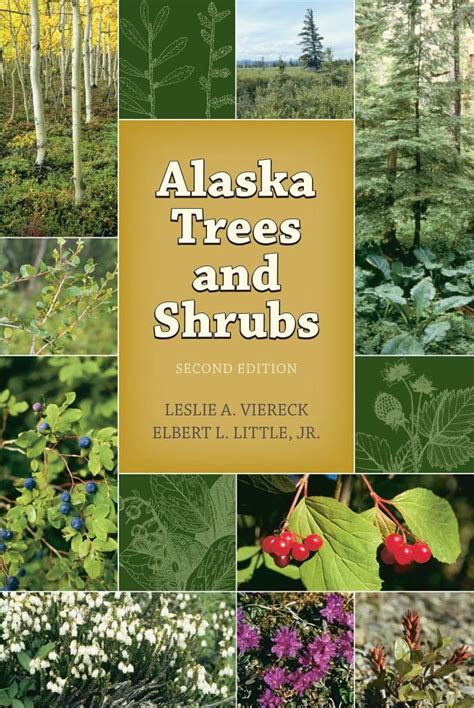 Alaska Trees And Shrubs Trees And Shrubs Alaska Road Trip Amazing