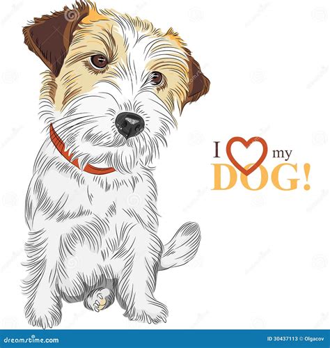 Vector Sketch Dog Jack Russell Terrier Breed Stock Vector