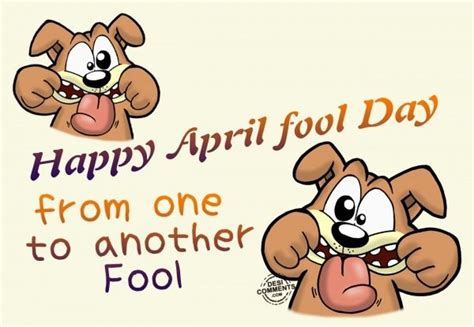 You are so stylish but you are also very foolish and on april 1st i want to you that you are the best foolish i know. Happy April Fool Day From One To Another Fool Pictures ...