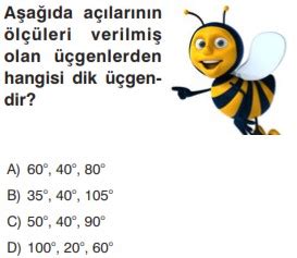 5. Sınıf Açı ve Kenarlarına Göre Üçgenler Online Test 1