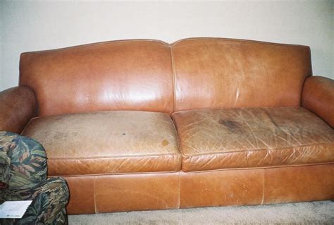 Stain Leather Couch Odditieszone