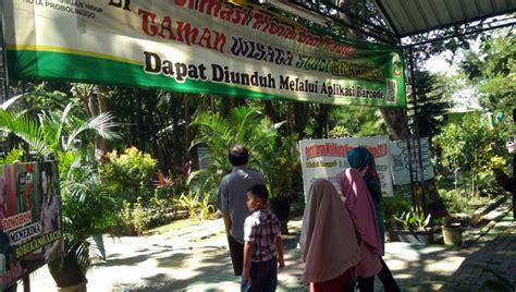 Hello guys kali ini aku jalan jalan ke kebun binatang taman safari indonesia yang ada di bogor. 2 Ekor Harimau Bakal Jadi Koleksi Kebun Binatang Mini Kota Probolinggo