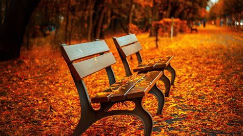 Download Autumn Scenery In Stunning 4k Uhd Resolution Wallpaper