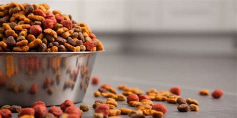 Or maybe just a refresher? How Many Cups Of Dog Food In A Pound?