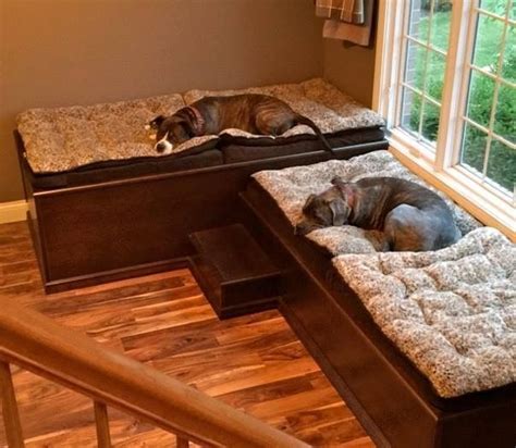 10 Human Bed With Dog Bed Built In