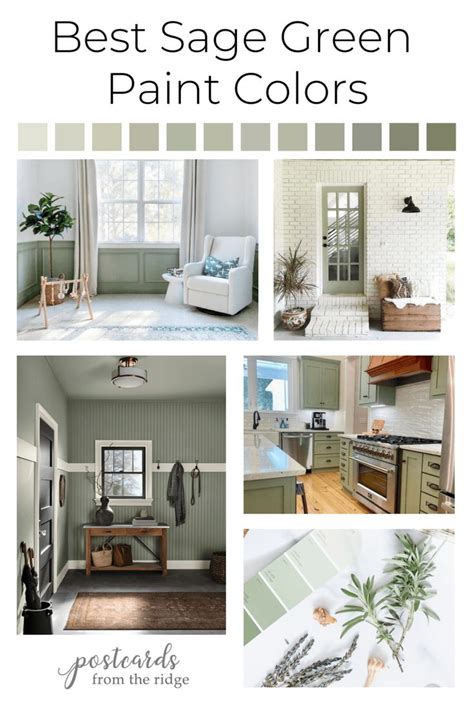 Best Sage Green Paint Colors For In Sage Green Paint