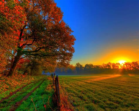Wallpaper Autumn Sunset Nature Trees Road Meadow Fields 2560x1600