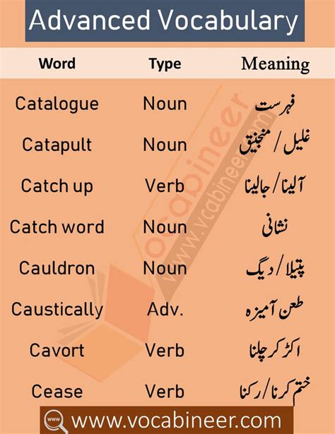 CSS and PMS Vocabulary | Vocabulary words, English vocabulary words, English phrases sentences
