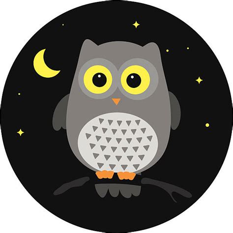 Night Owl Clipart 10 Free Cliparts Download Images On Clipground 2024
