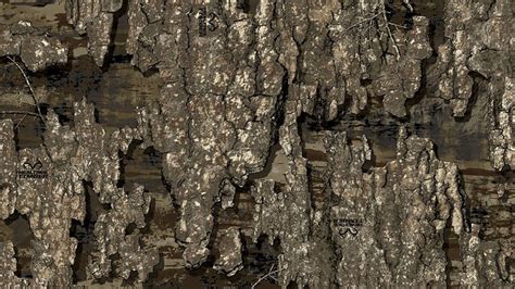 Realtree Releases New Realtree Timber Camo Pattern An Official