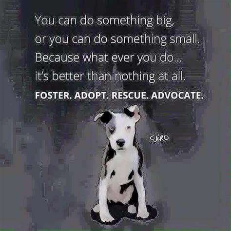 Pin By Angel Seeker On Animal Advocacy Animal Rescue Dogs Animal