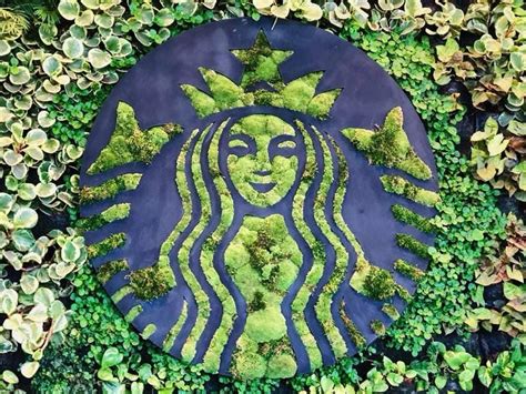 Starbucks Drive For Sustainability And Curbing Pollution By Raven